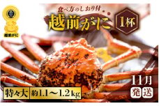 越前がに本場の越前町からお届け！ ≪浜茹で≫越前がに 特々大サイズ × 1杯（生で約1.1～1.2kg）食べ応え十分 食べ方しおり付き【かに カニ 蟹】【福井県 越前町 雄 ズワイガニ ボイル 冷蔵 越前ガニ 越前かに 越前カニ ずわいがに ずわい蟹 かに カニ 蟹】【11月発送分】希望日指定可 備考欄に希望日をご記入ください [e57-x007_11]