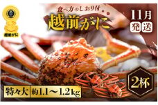 越前がに本場の越前町からお届け！ ≪浜茹で≫越前がに 特々大サイズ × 2杯（生で1杯約1.1～1.2kg）食べ応え十分 食べ方しおり付き【かに カニ 蟹】【福井県 越前町 雄 ズワイガニ ボイル 冷蔵 越前ガニ 越前かに 越前カニ ずわいがに ずわい蟹 かに カニ 蟹】【11月発送分】希望日指定可 備考欄に希望日をご記入ください [e57-x008_11]