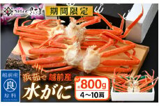 【期間限定】浜茹で 越前産 水がに 800g（4～10肩） 脱皮したてのずわいがに【福井県 越前町 かに カニ 蟹 ずわいがに ズワイガニ 雄 ズボガニ 水ガニ かに足  冷蔵 越前ガニ 越前かに 越前カニ】【2026年2月20日以降 順次発送予定】 [e04-x026]