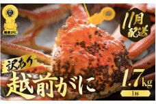 越前がに本場の越前町からお届け！【訳あり】≪浜茹で≫越前がに 極み（きわみ）サイズ（生で約1.7kg～）規格外でも贅沢！食べ応え十分 食べ方しおり付き【訳あり  ゆで 贈答 ギフト 雄 ズワイガニ 越前ガニ 姿 ボイル 冷蔵 かに カニ 蟹 福井県】【11月発送分】希望日指定可 備考欄に希望日をご記入ください [e57-x010_11]