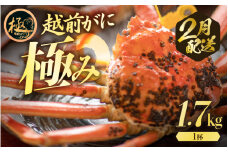 越前がに本場の越前町からお届け！ 貴重！【究極の1杯 極み(きわみ) 】≪浜茹で≫越前がに（生で約1.7kg～）極みの中でも1.7kg以上をお届け 食べ応え十分 食べ方しおり付き【贈答 ギフト 雄 ズワイガニ 越前ガニ 姿 ボイル 冷蔵 かに カニ 蟹 福井県】【2月発送分】希望日指定可 備考欄に希望日をご記入ください [e57-x009_02]