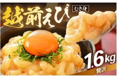 殻むき不要！幻と呼ばれる「越前えび」（むき身）1.6kg（200g × 8袋）背わた処理済 【天然 日本海 越前町産 鮮度抜群 国産 ブランド エビ がまエビ ガサエビ ガラエビ むきエビ 小分け えび 魚介類 魚貝類 福井県 魚介 海鮮 寿司 刺身 サラダ さかな 甘えび丼 丼 おつまみ グルメ 宅飲み 日常使い おすそわけ ギフト】 [e15-c005]