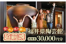 利用券 30,000円分 福井県陶芸館『 見て作って！使って親しむ！［越前焼］』【体験 陶芸 越前焼き 陶器 制作 電動ろくろ 手ひねり 絵つけ 茶 抹茶 茶苑 茶碗 カップ 皿 ご飯茶碗 陶芸教室 資料館 バーベキュー BBQ】 [e69-j001]