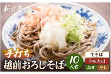 冷蔵 越前おろしそば 10人前（辛味大根・ねぎ・だし付き）生蕎麦（保存料・防腐剤・添加物不使用）【ソバ 麺 年末 年越し ざるそば】【お届け希望日指定可能】美味しいそばのゆで方ポイント付 [e21-b001]