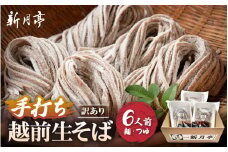 冷蔵 生そば 6人前（だし付き）越前蕎麦 こだわり（保存料・防腐剤・添加物不使用）【ソバ 訳あり 麺 年末 年越し ざるそば】【お届け希望日指定可能】美味しいそばのゆで方ポイント付 [e21-a006]