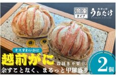 【先行予約】 越前がに まるっと甲羅盛り2個入り 計約500g（約250g × 2パック）【2026年3月下旬以降順次発送予定】 黄色タグ付き 越前ずわい蟹 ！オスずわいがに 食べ応え充分【丸ごと むき身 かにみそ カニ味噌 棒身 蟹 カニ ほぐし身 ずわい蟹 ズワイガニ  小分け 個包装 送料無料】 [e65-d001]
