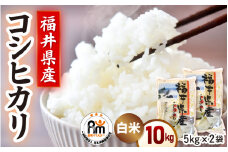 令和6年産 米 10kg（5kg×2袋）精米 コシヒカリ 福井県産《14日以内に出荷予定》【白米 5キロ 10キロ こしひかり お米 人気品種 産地直送 新生活 kome】 [e66-b001]