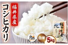 令和6年産 米 5kg 精米 コシヒカリ 福井県産《14日以内に出荷予定》【白米 5キロ こしひかり お米 ごはん 人気品種 産地直送 新生活 kome】 [e66-a004]