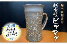 【父の日限定】 越前焼 ビアマグ 志野 桐箱入り 光窯「陶土証明書あり」 【食器 酒 ビール コップ カップ マグカップ 父の日ギフト 電子レンジ 食洗機  工芸品 陶器 】 [e25-b018]