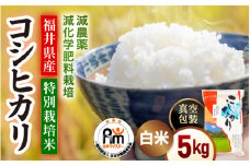 【期間限定】＜真空包装＞ 令和6年産 米 5kg 精米 減農薬減化学肥料栽培 コシヒカリ 福井県産米《14日以内に出荷予定》【白米 5キロ こしひかり 真空パック お米 人気品種 産地直送 新生活 kome】 [e66-a006]