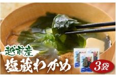 『天然物わかめ』 肉厚 福井県産わかめ 3袋（180g × 3袋）【湯通し 塩蔵 生わかめ 国産わかめ ワカメ 海藻 スープ 鍋 サラダ 刺身 酢のもの】  [e80-a003]