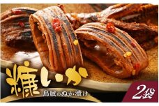 「焼くだけ簡単」国産 糠いか 2袋【ぬかいか 無添加 海鮮 魚介類 惣菜 つまみ イカ するめいか ぬか漬け 発酵食品 バーベキュー 和食 洋食】 [e80-a005]