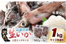 【ふるさと納税】【急速冷凍】【訳あり】生いか 天然ケンサキイカ サイズ無選別 1kg（500g × 2袋）定置網漁 皮むけ・サイズ不揃い【剣先いか 生イカ いか 白イカ いかめし いか焼き 姿焼き げそ 煮付け 海鮮 鮮魚 おつまみ】 [e15-a062]