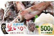 【急速冷凍】【訳あり】生いか 天然ケンサキイカ サイズ無選別 500g 定置網漁 皮むけ・サイズ不揃い【剣先いか 生イカ いか  白イカ  いかめし いか焼き 姿焼き げそ 煮付け 海鮮 鮮魚 おつまみ】 [e15-a061]