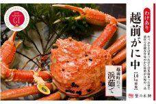 【わけあり】冬の日本海の味 浜茹で【越前がに 1.0kg前後】11月～翌3月順次発送 [e56-x013]