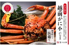 【わけあり】冬の日本海の味 浜茹で【越前がに 0.7kg前後】11月～翌3月順次発送 [e56-x014]
