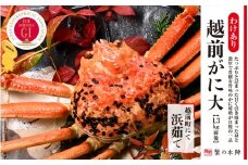 【わけあり】冬の日本海の味 浜茹で【越前がに 1.3kg前後】11月～翌3月順次発送 [e56-x015]