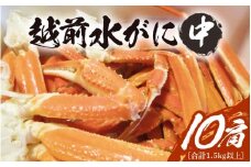 【期間限定】浜ゆで 越前産水がに中サイズ 10肩（足のみ2肩あたり300～400g） 合計1.5kg以上 産地直送 食べやすい【雄 ズワイガニ 越前ガニ 足のみ ボイル 冷蔵 かに カニ 蟹 福井県】希望日指定可 備考欄にメールアドレスをご記入ください [e68-x009]