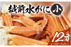 【期間限定】浜ゆで 越前産水がに小サイズ 12肩（足のみ2肩あたり200～300g） 合計1.2kg以上 産地直送 食べやすい【雄 ズワイガニ 越前ガニ 足のみ ボイル 冷蔵 かに カニ 蟹 福井県】希望日指定可 備考欄にメールアドレスをご記入ください [e68-x008]