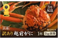 【訳あり】≪浜茹で≫越前がに 特大サイズ 1杯（生で1杯約1kg前後）大人約2人前 食べ応え充分【規格外 雄 ズワイガニ かに カニ 蟹 越前ガニ 姿 ボイル 冷蔵 福井県】【3月発送分】希望日指定可 備考欄に希望日をご記入ください [e65-x006_03]