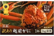 【訳あり】≪浜茹で≫越前がに 特大サイズ 1杯（生で1杯約1kg前後）大人約2人前 食べ応え充分【規格外 雄 ズワイガニ かに カニ 蟹 越前ガニ 姿 ボイル 冷蔵 福井県】【12月発送分】希望日指定可 備考欄に希望日をご記入ください [e65-x006_12]