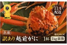 【訳あり】≪浜茹で≫越前がに 特大サイズ 1杯（生で1杯約1kg前後）大人約2人前 食べ応え充分【規格外 雄 ズワイガニ かに カニ 蟹 越前ガニ 姿 ボイル 冷蔵 福井県】【11月発送分】希望日指定可 備考欄に希望日をご記入ください [e65-x006_11]