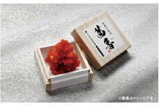 2025年夏 新物 越前汐うに【茜香(せんか)】52g [e56-h001]