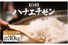 【先行予約】【令和7年産・新米】定期便 ≪6ヶ月連続お届け≫ ハナエチゼン 5kg × 6回（合計30kg）【白米】【10月中旬前後より順次発送予定】【お米 こめ はなえちぜん 華越前 人気品種 ブランド米 5キロ 白米 精米 玄米 おにぎり うまい 福井県ブランド米 福井県産】 [e26-g001_01]