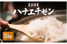 【先行予約】【令和7年産・新米】ハナエチゼン 5kg【玄米】【お米 こめ はなえちぜん 華越前 人気品種 ブランド米 5キロ 白米 精米 玄米 おにぎり うまい 福井県ブランド米 福井県産】【10月中旬前後より順次発送予定】 [e26-a013_02]