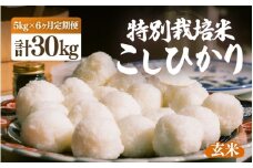 【ふるさと納税】【先行予約】【令和7年産・新米】定期便 ≪6ヶ月連続お届け≫ 特別栽培米 こしひかり 5kg × 6回（合計30kg）【玄米】【10月中旬前後より順次発送予定】【こめ コシヒカリ 人気品種 ブランド米 5キロ 白米 精米 玄米 おにぎり うまい 福井県ブランド米  福井県産 農薬 50％減】 [e26-h001_02]