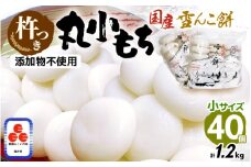 雪んこ餅 杵つき餅 丸小もち 計1.2kg（30g × 40個 ）小さいサイズ餅 国産【雑煮 ぜんざい 年末年始 御馳走 添加物不使用 少量 小分け】 [e26-a011]