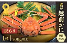 【訳あり】≪浜茹で≫越前がに  1杯（生で700g前後）【雄 ズワイガニ かに カニ 蟹 越前ガニ 姿 ボイル 冷蔵 福井県】【2月発送分】希望日指定可 備考欄に希望日をご記入ください [e68-x006_02]
