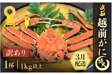 【訳あり】≪浜茹で≫越前がに 特大サイズ 1杯（生で1kg以上）【雄 ズワイガニ かに カニ 蟹 越前ガニ 姿 ボイル 冷蔵 福井県】【3月発送分】希望日指定可 備考欄に希望日をご記入ください [e68-x007_03]