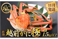 ≪浜茹で≫越前がに 極（生で1.5kg以上） × 1杯【雄 ズワイガニ 越前ガニ 姿 ボイル 冷蔵 かに カニ 蟹 福井県】【11月発送分】希望日指定可 備考欄にメールアドレスをご記入ください [e43-x013_11]