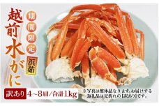 【期間限定】【訳あり品】≪浜茹で≫越前産水がに 1kg（4肩～8肩）産地直送　お手頃【雄 ズワイガニ 越前ガニ 足のみ ボイル 冷蔵 かに カニ 蟹 福井県】希望日指定可 備考欄にメールアドレスをご記入ください [e43-x016]