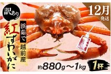 【訳あり】≪浜茹で≫越前産 紅ずわいがに × 1杯（生で約880g～1kg）【紅ズワイガニ カニ かに 蟹】【紅ずわいがに】【12月発送分】 [e80-x001_12]