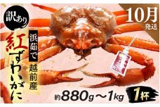 【訳あり】≪浜茹で≫越前産 紅ずわいがに × 1杯（生で約880g～1kg）【紅ズワイガニ カニ かに 蟹】【紅ずわいがに】【10月発送分】 [e80-x001_10]