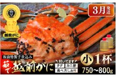 ≪茹で≫越前がに小（タグ付き）1杯（生で750～800g）カニ酢90cc付 板前特製手仕込み 食べ方しおり付き【雄 ズワイガニ かに カニ 蟹 越前ガニ 姿 ボイル 冷蔵 福井県】【3月発送分】希望日指定可 備考欄に電話番号をご記入ください [e29-x001_03]