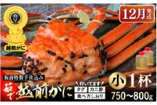 ≪茹で≫越前がに小（タグ付き）1杯（生で750～800g）カニ酢90cc付 板前特製手仕込み 食べ方しおり付き【雄 ズワイガニ かに カニ 蟹 越前ガニ 姿 ボイル 冷蔵 福井県】【12月発送分】希望日指定可 備考欄に電話番号をご記入ください [e29-x001_12]
