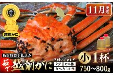≪茹で≫越前がに小（タグ付き）1杯（生で750～800g）カニ酢90cc付 板前特製手仕込み 食べ方しおり付き【雄 ズワイガニ かに カニ 蟹 越前ガニ 姿 ボイル 冷蔵 福井県】【11月発送分】希望日指定可 備考欄に電話番号をご記入ください [e29-x001_11]