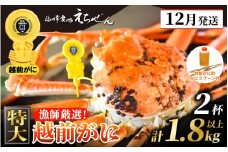 ≪浜茹で≫ 越前がに 特大 × 2杯（生で計1.8kg以上） 越前がに漁師厳選！かに酢 かにスプーン4本 食べ方QRコード付き【雄 ズワイガニ ずわいがに 姿 ボイル 冷蔵 福井県】【12月発送分】希望日指定可 備考欄に希望日をご記入ください [e38-x002_12]