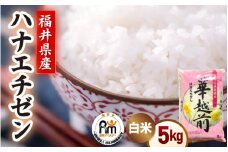 【新米】令和7年産 米 5kg 精米 ハナエチゼン 福井県越前町産《14日以内に出荷予定》【白米 5キロ 華越前 はなえちぜん  お米 ごはん 人気品種 こしひかり 血統品種  kome】 [e66-a007]