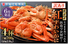 【訳あり】≪浜茹で≫越前産 紅ずわいがに 約700g × 4杯 食べ方しおり付【紅ズワイガニ カニ かに 蟹 姿 ボイル 冷蔵 福井県】【6月発送分】希望日指定不可 [e14-x002_06]