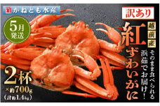 【訳あり】≪浜茹で≫越前産 紅ずわいがに 約700g × 2杯 食べ方しおり付【紅ズワイガニ カニ かに 蟹 姿 ボイル 冷蔵 福井県】【5月発送分】 [e14-x025_05]