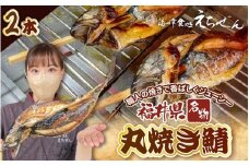 【福井県名物】丸焼き鯖 2本 職人の焼きで香ばしくジューシー【さば 焼き魚 焼き サバ 丸焼き 惣菜 半夏生 はんげしょう 酒の肴 郷土料理】 [e38-a005]