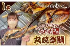 【福井県名物】丸焼き鯖 1本 職人の焼きで香ばしくジューシー【さば 焼き魚 焼き サバ 丸焼き 惣菜 半夏生 はんげしょう 酒の肴 郷土料理】 [e38-a004]