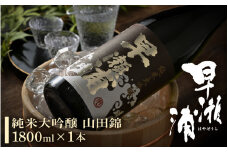 早瀬浦 純米大吟醸 山田錦 1800ml × 1本 【入手困難 日本酒 就職祝い 転職祝い ハレの日 ギフト プレゼント お祝い お返し お礼 お中元 お歳暮 父の日 敬老の日】[m06-d002]