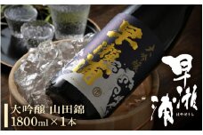 早瀬浦 大吟醸 山田錦 1800ml × 1本 【入手困難 日本酒 就職祝い 転職祝い ハレの日 ギフト プレゼント お祝い お返し お礼 お中元 お歳暮 父の日 敬老の日】[m06-d001]