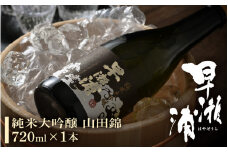 早瀬浦 純米大吟醸 山田錦 720ml × 1本 【入手困難 日本酒 就職祝い 転職祝い ハレの日 ギフト プレゼント お祝い お返し お礼 お中元 お歳暮 父の日 敬老の日 】[m06-b005]