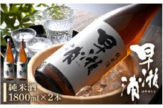 早瀬浦 純米酒 1800ml × 2本 【入手困難 日本酒 就職祝い 転職祝い ハレの日 ギフト プレゼント お祝い お返し お礼 お中元 お歳暮 父の日 敬老の日】[m06-b001]